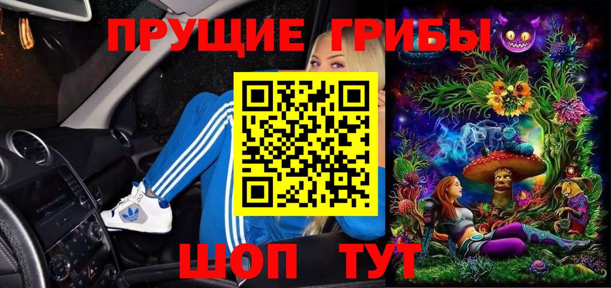 Героин Богданович