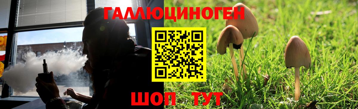 Богданович  Псилоцибиновые грибы Cubensis  Вход с VPN  Псилоцибиновые грибы GOLDEN TEACHER 